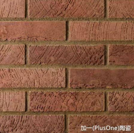 11.jpg 圖片