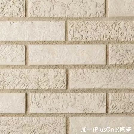 8.jpg 圖片