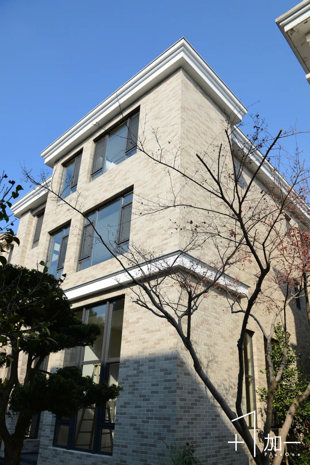 11.jpg 圖片